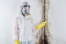 Best Mold Odor Removal Services  in Latham, NY